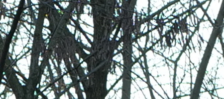 Panasonic Lumix S 85mm F1.8