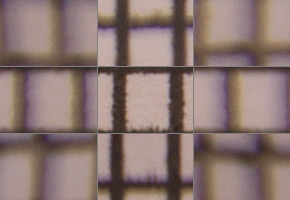 Tamron 16-300mm f/3.5-6.3 Di II VC PZD Macro