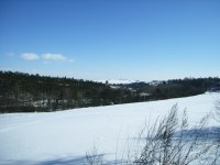 Caplio R1: Široká kompaktní náruč