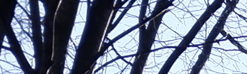 Fujinon XF 35mm F2 R WR