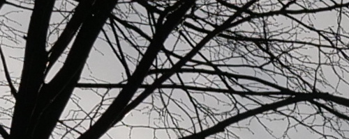 Panasonic Leica DG Vario-Summilux 10-25mm F1.7 ASPH.