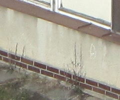 Canon PowerShot SX1 IS vs. SX10 IS: souboj CMOS a CCD