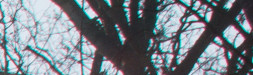 Nikon AF-P NIKKOR 18-55mm f/3.5-5.6G VR