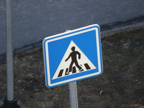 Canon PowerShot SX50 HS: překvapivá kombinace