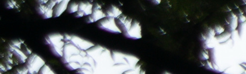 Canon EF-M 15-45mm f/3.5-6.3 IS STM