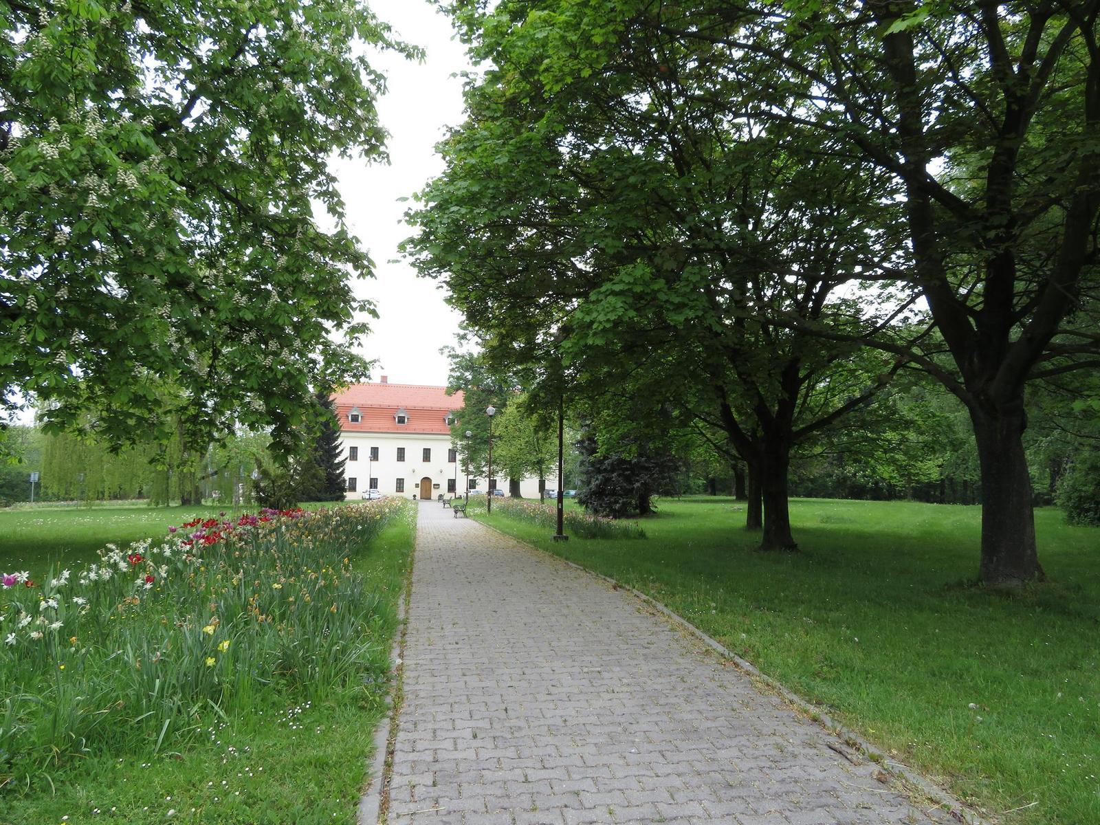 Canon PowerShot SX720 HS: kapesní šmírování