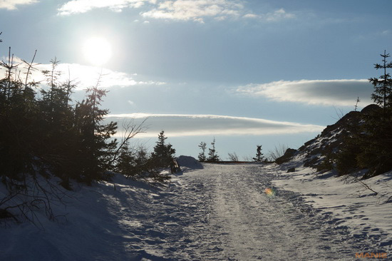 Sony SAL-70400G (70-400mm F4-5,6 SSM G)