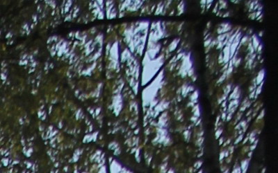 Canon EF-S 18-55mm F3,5-5,6 IS II