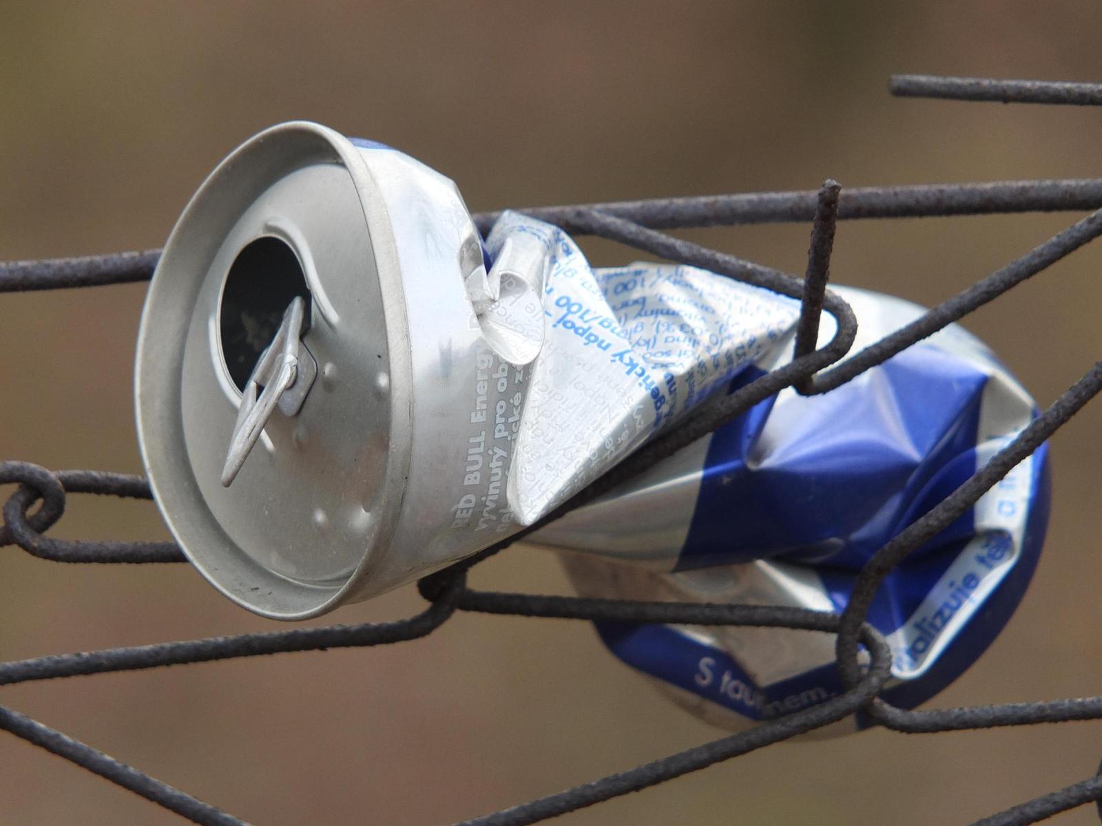 Fujifilm X-S1: jedinečný