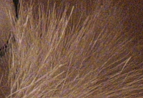 Fujifilm X-M1: našlapaná stylovka