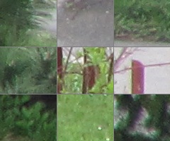 Canon PowerShot SX130 IS: levný všeuměl