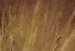 Nikon Coolpix L810: pro nenáročné