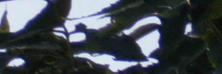 Panasonic Lumix FZ300: opět na špici