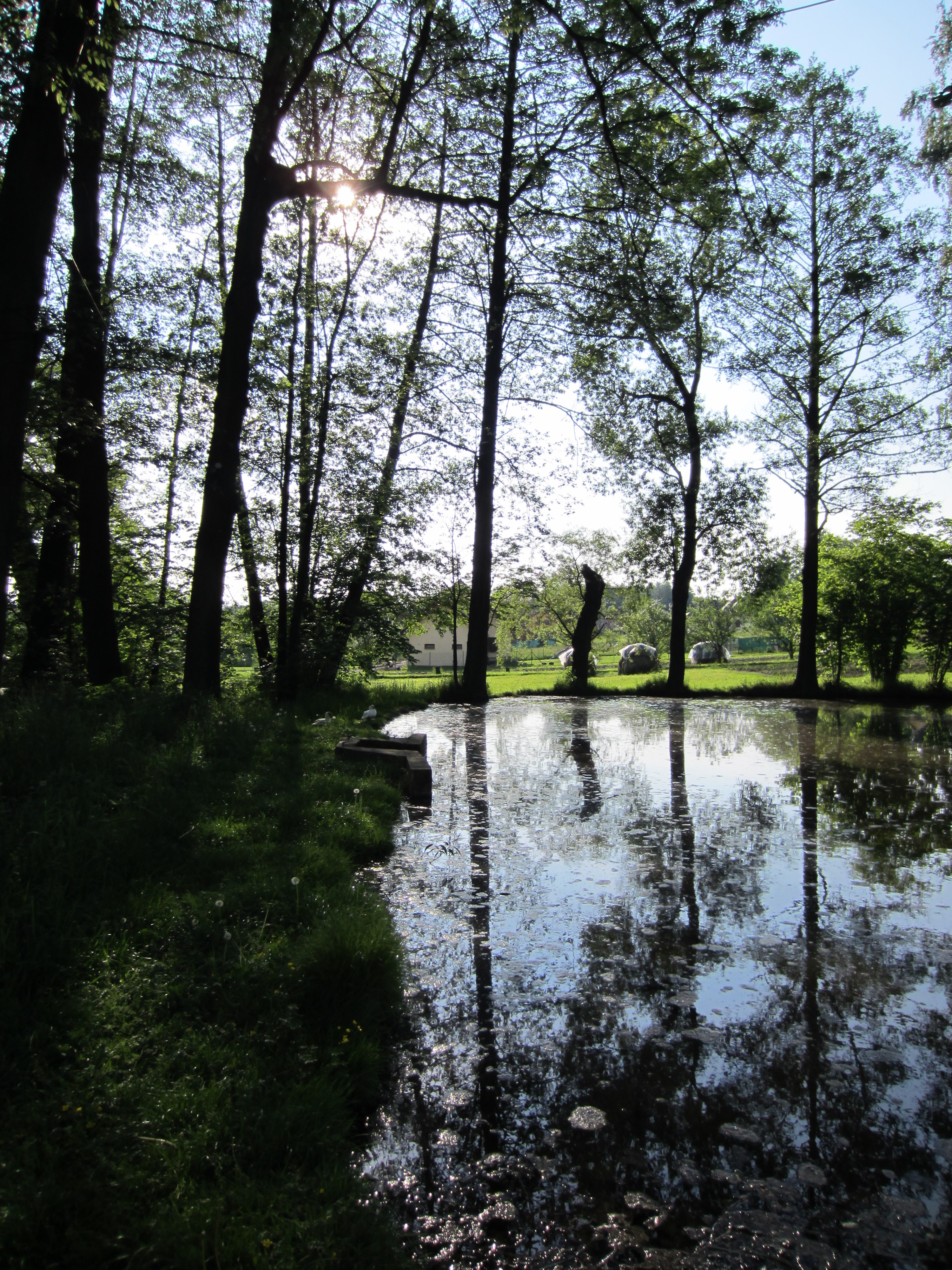 Canon IXUS 220 HS: multifunkční Karkulka