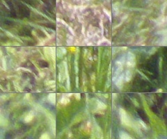 Fujifilm FinePix HS20EXR: důstojný nástupce