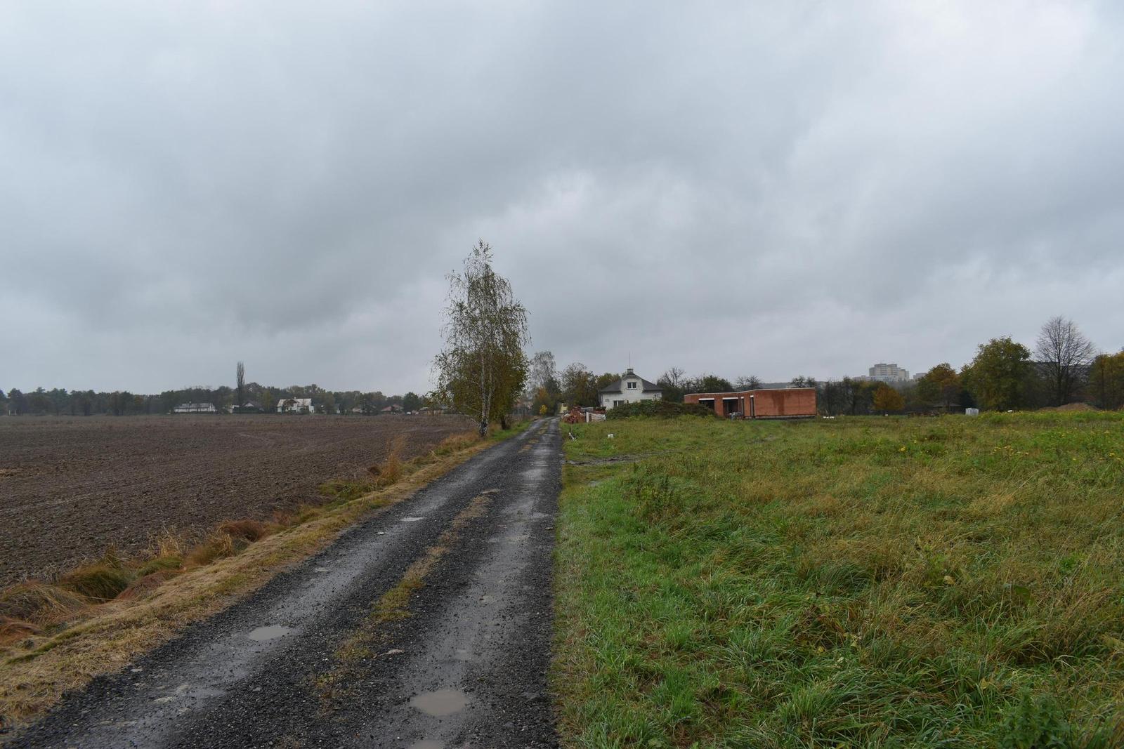 Nikon D5600: zrcadlo stále žije