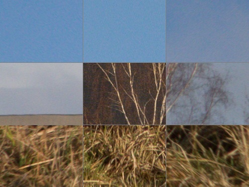 Canon PowerShot G9 X vs Sony Cyber-shot RX100