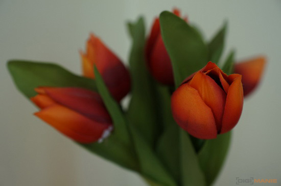 Sony SLT-A77: megapixelový přeborník