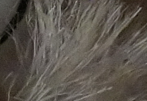 Sony SLT-A58: silný základ