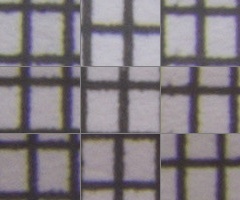 Sony SAL-1855 (DT 18-55mm F3,5-5,6 SAM)