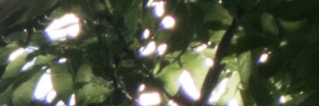 Sony E PZ 18-105mm F4 G OSS (SELP18105G)