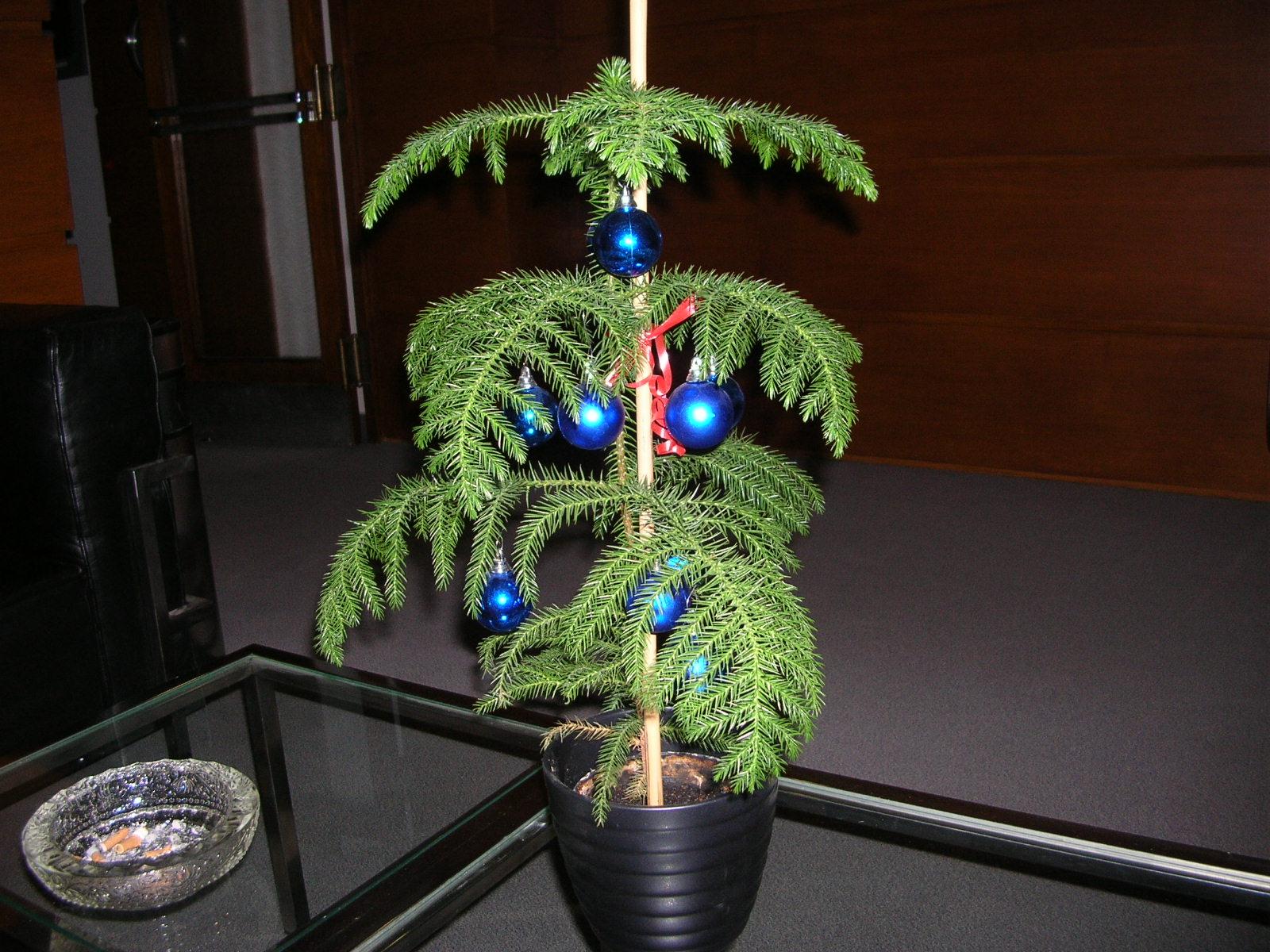 Coolpix 4100: malý automat