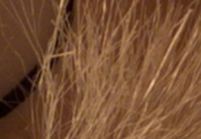 Fujifilm X-S1: jedinečný