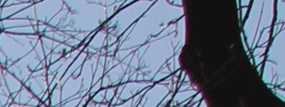 Megatest ultrazoomových objektivů