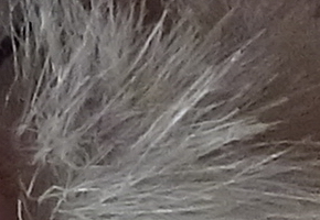 Sony Cyber-shot WX220: ostře nabitý drobek