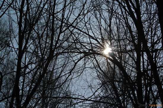 Nikon 1 NIKKOR 30-110mm 1:3,8-5,6 VR