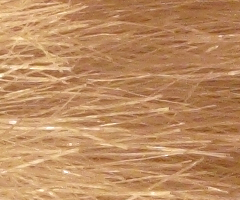 Canon PowerShot G10: stále mezi nejlepšími