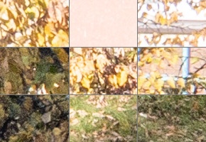 Panasonic Leica DG Vario-Summilux 25-50mm F1.7 ASPH.