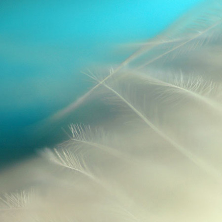 Výstava Jany Vaňourkové v brněnské Olympii