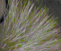 Sigma DP2: otestovali jsme Foveon!