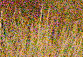 Sony NEX-7: správná (r)evoluce