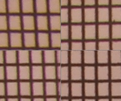 Canon EOS 550D: třídní premiant