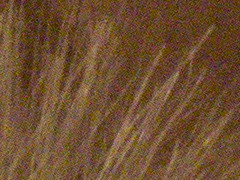 Canon EOS 600D: pokračování rodové linie