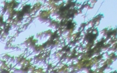 Canon IXUS 220 HS: multifunkční Karkulka