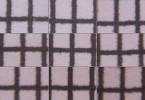 Panasonic Leica DG Vario-Elmarit 12-60mm / F2.8-4.0 ASPH. / Power O.I.S.