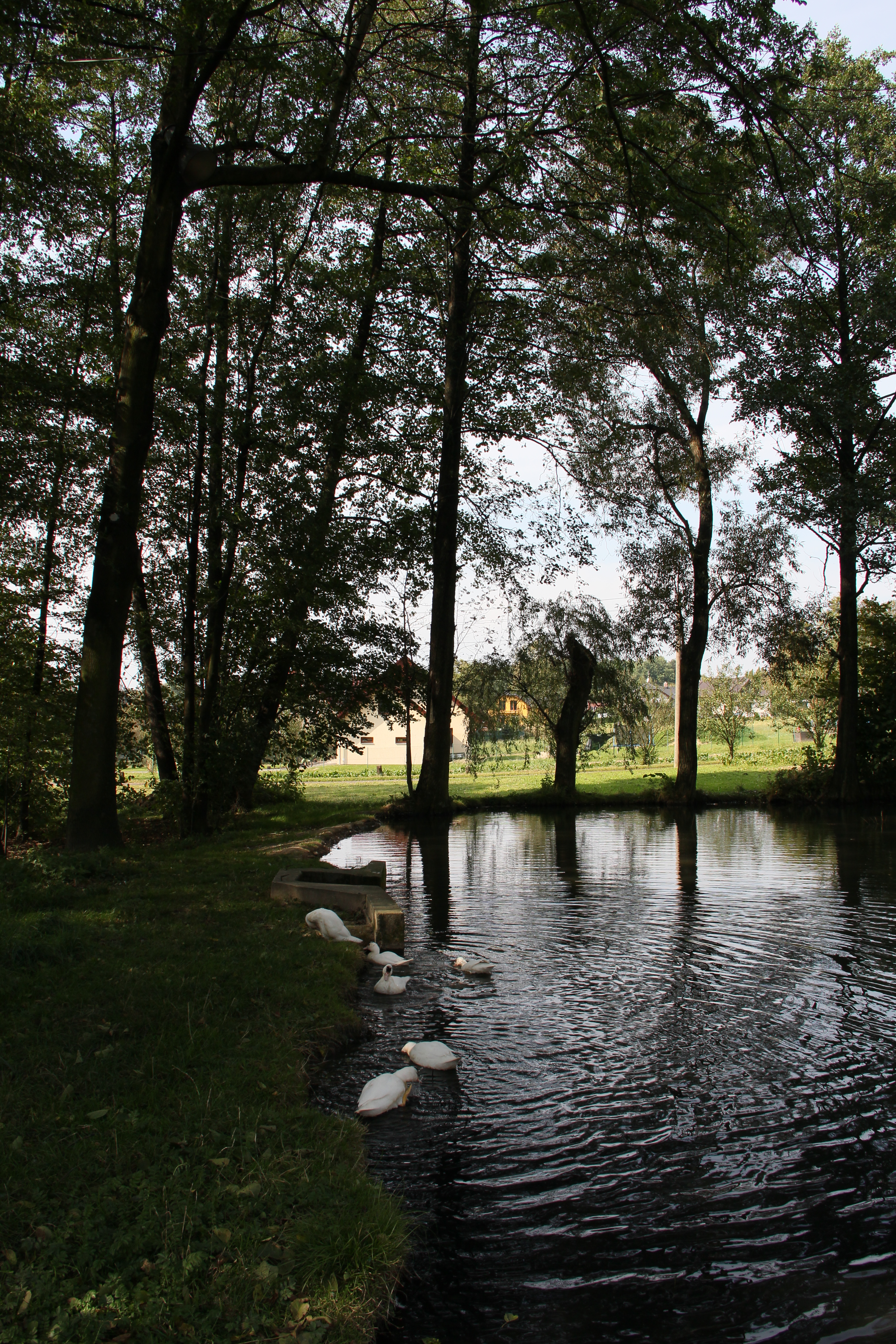 Canon EOS 550D: třídní premiant