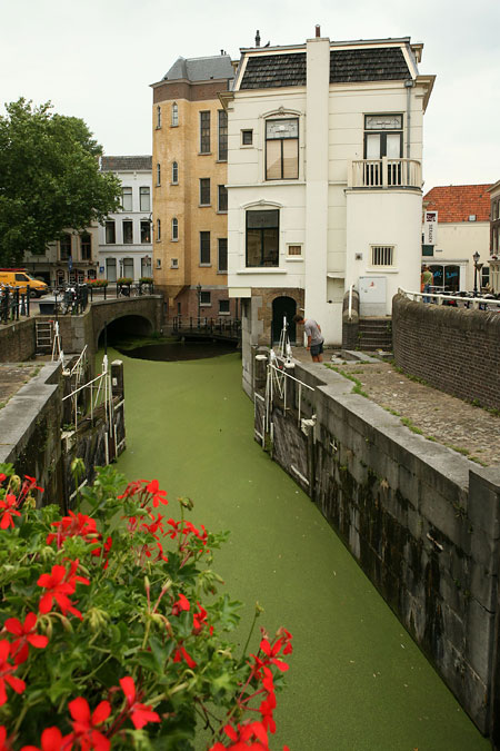 S fotoaparátem po Holandsku: II.