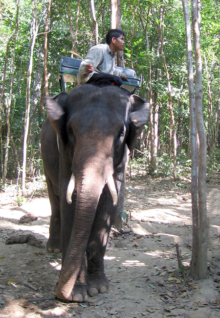 Na hloubku ostrosti prakticky