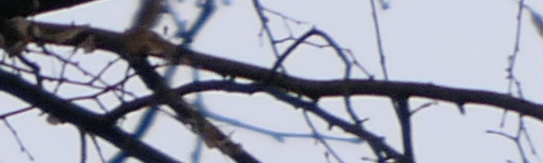 Panasonic Lumix FZ2000: ultrazoom nebo profi kamera?