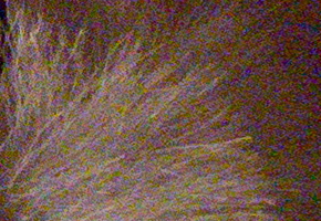 Olympus Stylus XZ-2: jednoduše skvělý