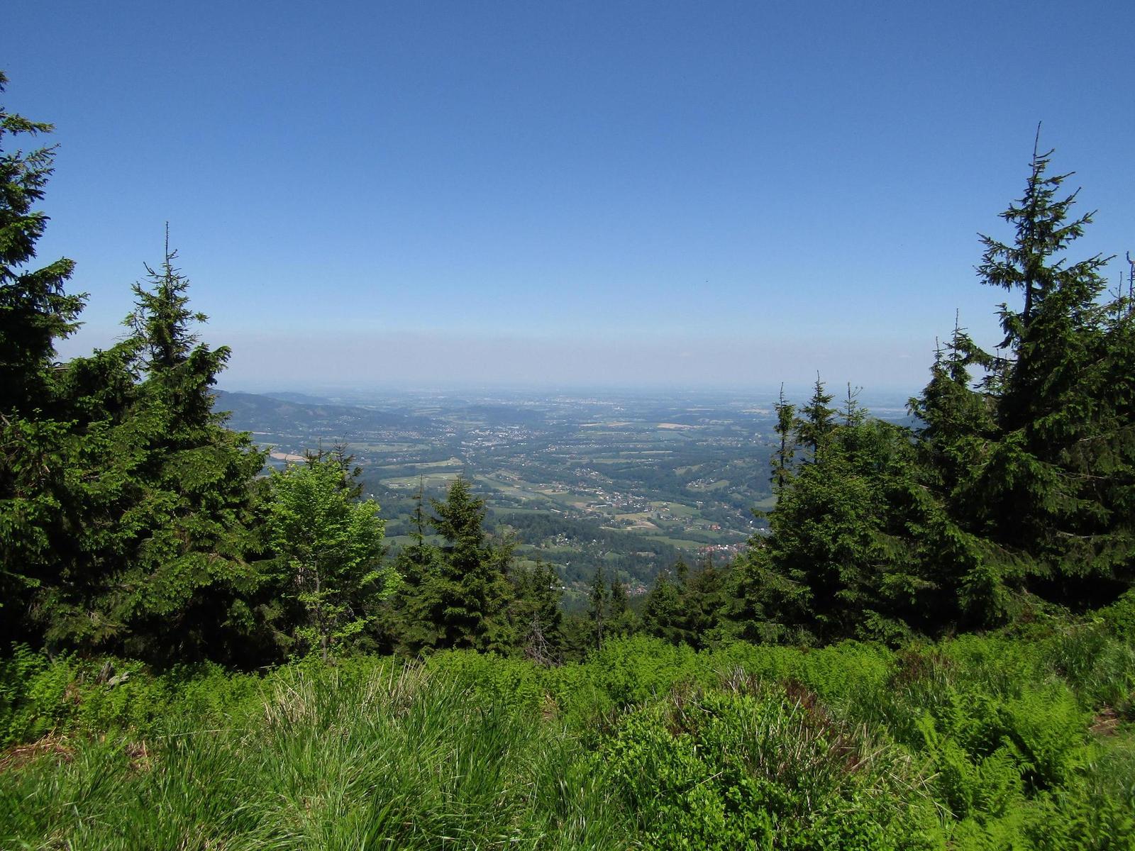 Canon PowerShot SX430 IS: milovník přírody