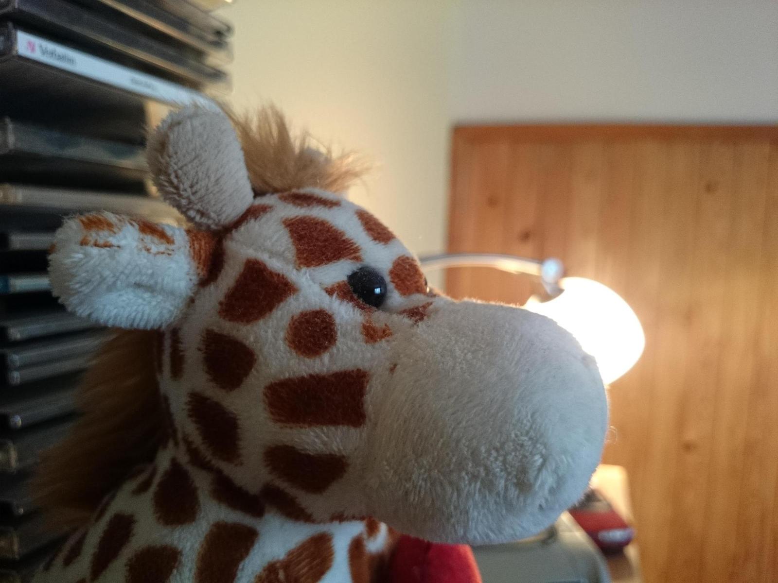 Sony Xperia Z1: megaAndroid