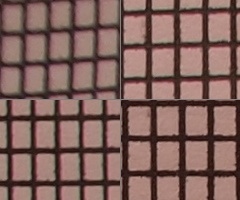 Olympus M.Zuiko Digital 14-150 mm F4-5,6