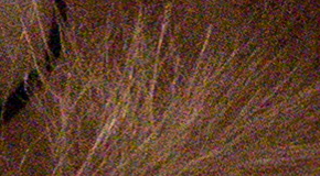 Panasonic Lumix FZ1000: legenda je zpátky