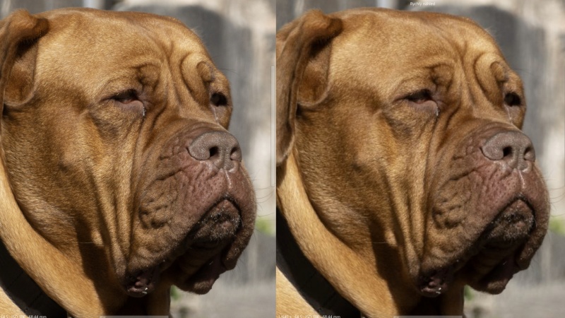 Super Resolution v Camera Raw: umí AI opravdu zvýšit rozlišení?