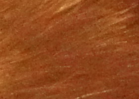 Sony Alpha SLT-A35: úspěšně proti zrcadlovkám